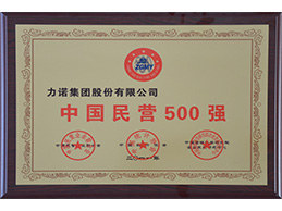 中國(guó)民(mín)营500强