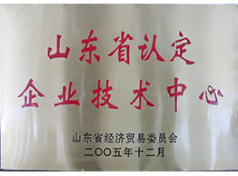 山(shān)东省认定企业技术中心2005